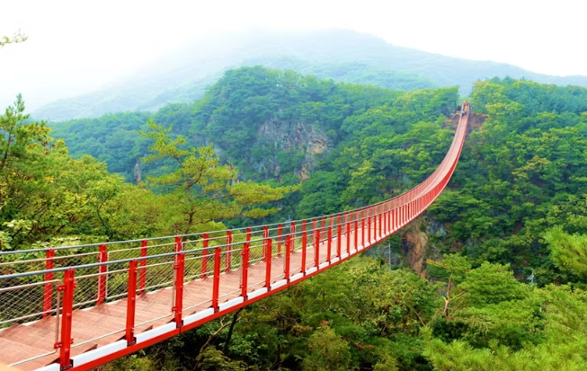 DMZ and Mt. Gamaksan Red Suspension Bridge Tour from Seoul - Image 3